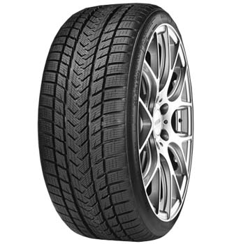 205/55R17 95V XL Pro Winter GRIPMAX